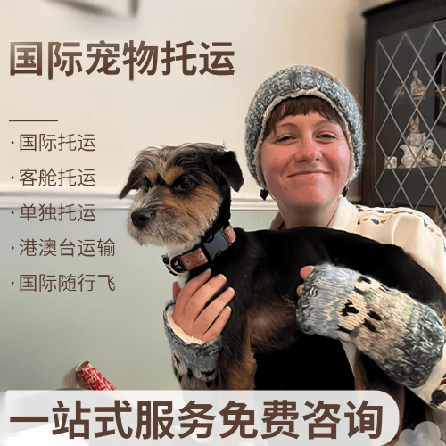 昆山国际宠物托运到阿根廷宠物入境规定和要