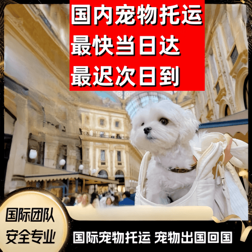 昆山到澳大利亚（澳洲）宠物入境规定和要求