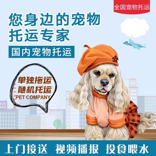 满财昆山宠物全球达宠物托运作为专业的宠物运输代理机构